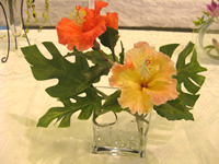 �n�C�r�X�J�X