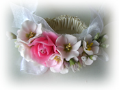 �Ԃ����� �r��